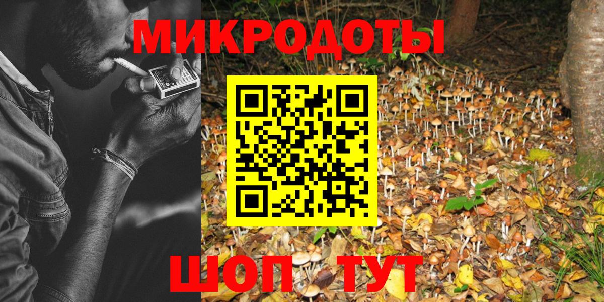 Псилоцибиновые грибы Magic Shrooms  продажа наркотиков  Псилоцибиновые грибы Psilocybine cubensis  Волжский  Вход с VPN 