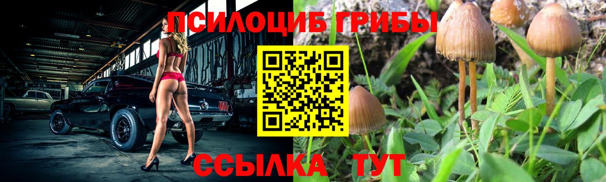 Галлюциногенные грибы прущие грибы Волжский
